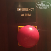 фото из отзыва ID 2169402