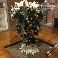 фото из отзыва ID 2169489