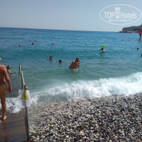 фото из отзыва ID 2169590