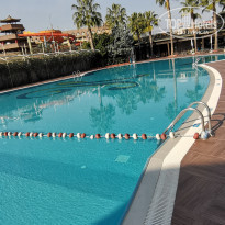 фото из отзыва ID 2169621