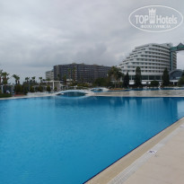 фото из отзыва ID 2169602