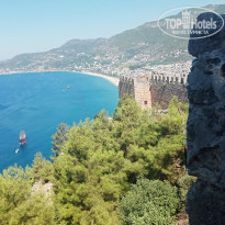 фото из отзыва ID 2169671