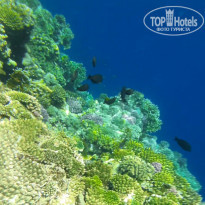 фото из отзыва ID 2169744