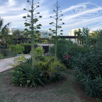 фото из отзыва ID 2169755