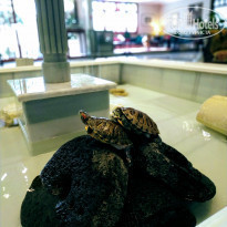 фото из отзыва ID 2169795