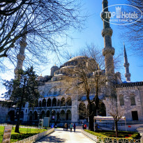 фото из отзыва ID 2169795