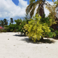 фото из отзыва ID 2169915