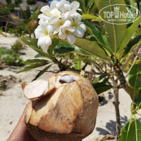 фото из отзыва ID 2169915