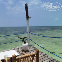 фото из отзыва ID 2169915