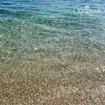 фото из отзыва ID 2167250