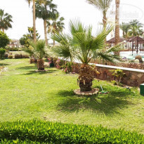 фото из отзыва ID 2169926