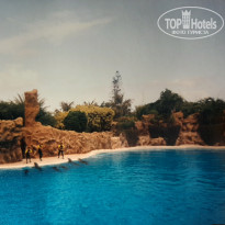 фото из отзыва ID 2167427