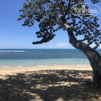 фото из отзыва ID 2169451