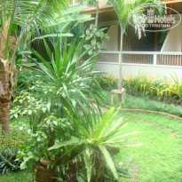 фото из отзыва ID 217210