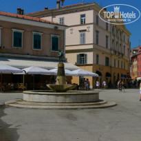 фото из отзыва ID 217224