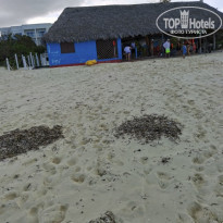 фото из отзыва ID 2170014