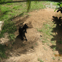 фото из отзыва ID 2170116