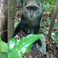 фото из отзыва ID 2170150