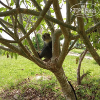 фото из отзыва ID 2170153