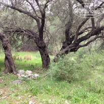 фото из отзыва ID 2170219