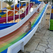 фото из отзыва ID 2170239