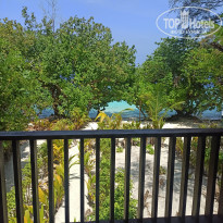 фото из отзыва ID 2170383