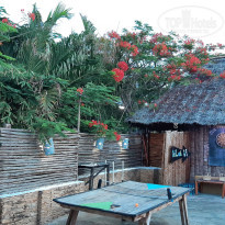 фото из отзыва ID 2170420