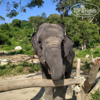 фото из отзыва ID 2170493