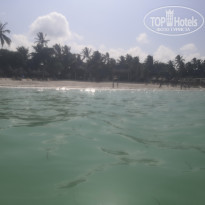 фото из отзыва ID 2170539