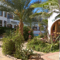 фото из отзыва ID 2170662