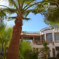 фото из отзыва ID 2170662