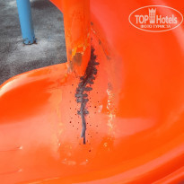 фото из отзыва ID 2170984