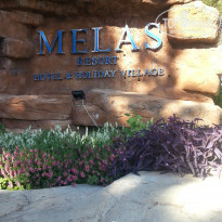 фото из отзыва ID 2171096