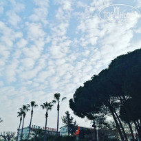 фото из отзыва ID 2171179