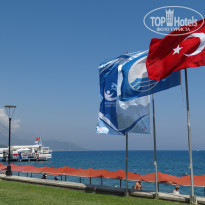 фото из отзыва ID 2171234