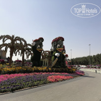 фото из отзыва ID 2171350