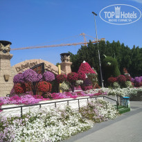 фото из отзыва ID 2171350