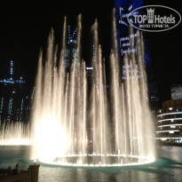 фото из отзыва ID 2171350