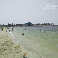 фото из отзыва ID 2171350