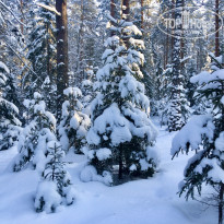 фото из отзыва ID 2171452