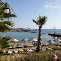 фото из отзыва ID 2171503