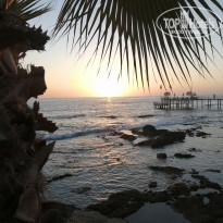 фото из отзыва ID 2171503