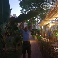 фото из отзыва ID 2171503