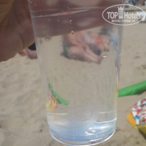 фото из отзыва ID 2171715