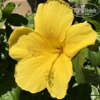 фото из отзыва ID 2171772