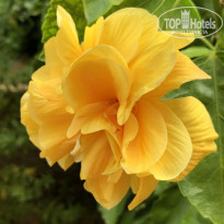 фото из отзыва ID 2171772