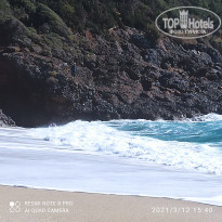 фото из отзыва ID 2171804