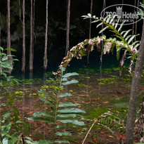 фото из отзыва ID 2171851