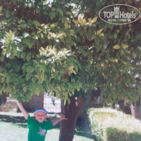 фото из отзыва ID 2171950