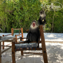 фото из отзыва ID 2171878